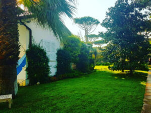 Giardino
